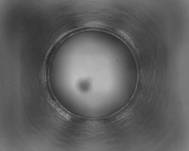 X0000073900931200608251453