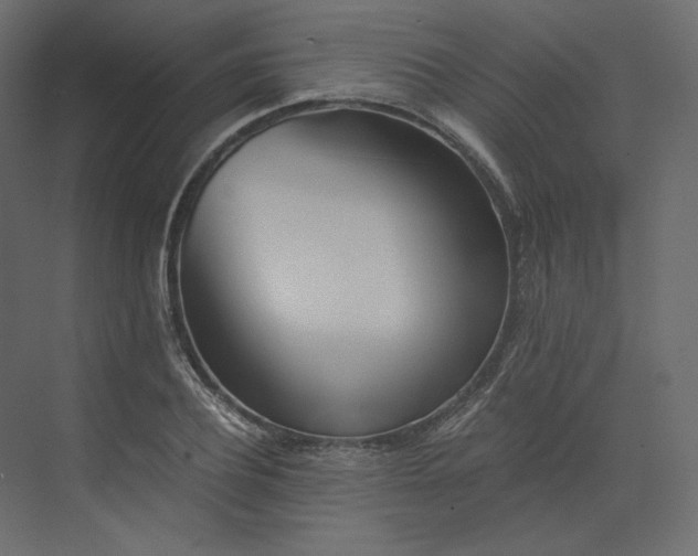 X0000073900932200608251453