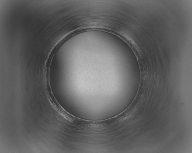 X0000073900933200608251453