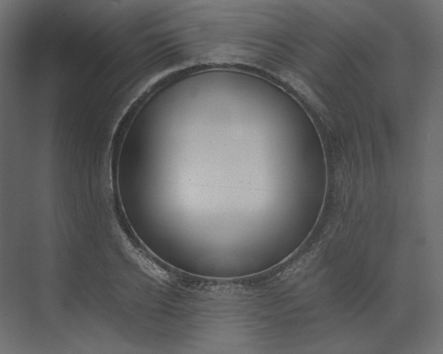 X0000073900934200608251453