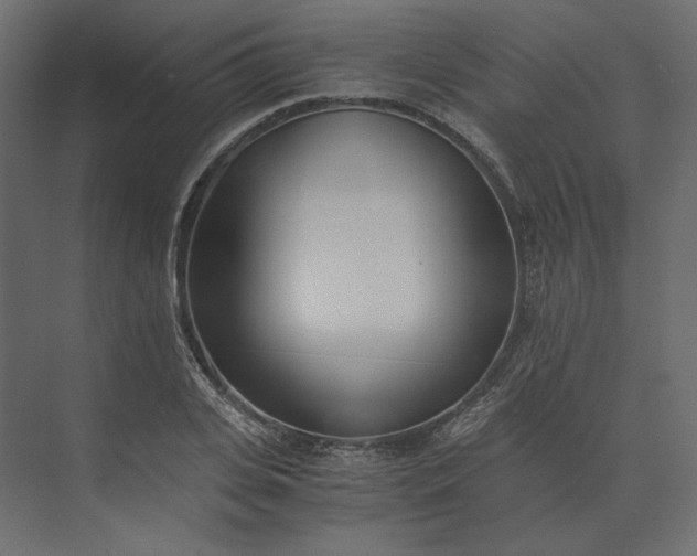 X0000073900935200608251453