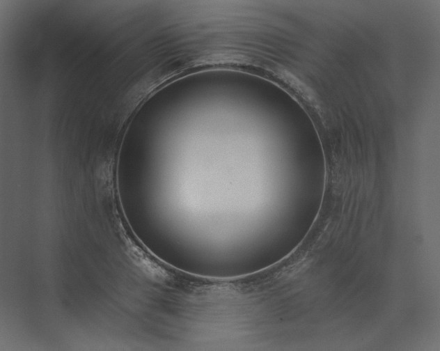 X0000073900937200608251453