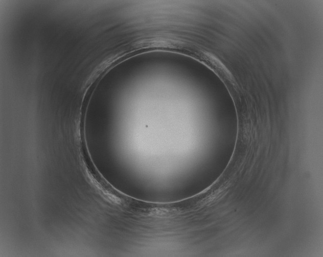 X0000073900938200608251453