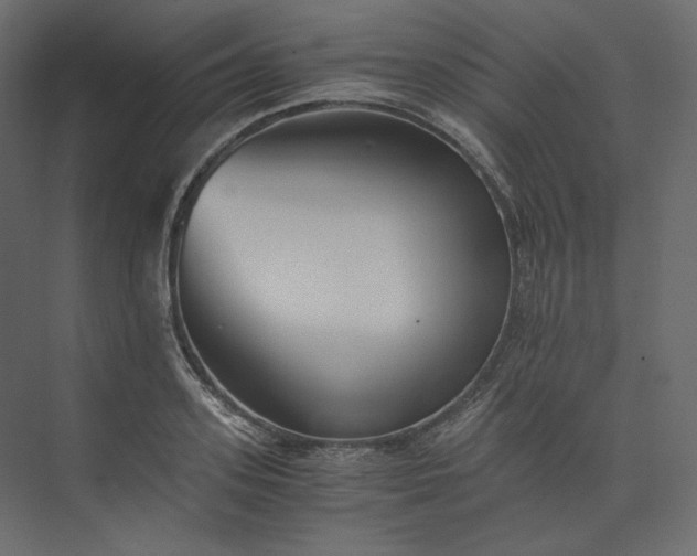 X0000073900939200608251453