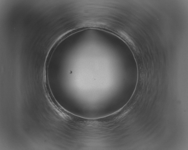 X0000073900940200608251453