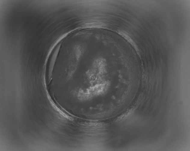 X0000073900941200608251453