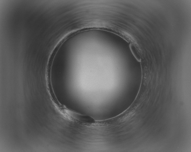 X0000073900942200608251453