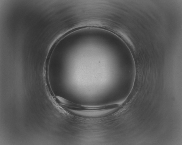 X0000073900944200608251454