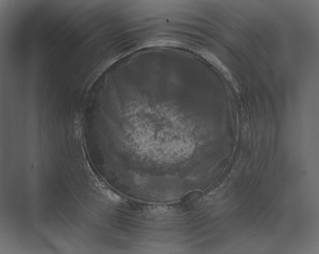 X0000073900945200608251454