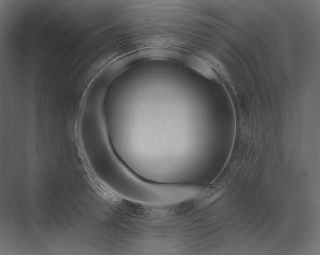 X0000073900946200608251454