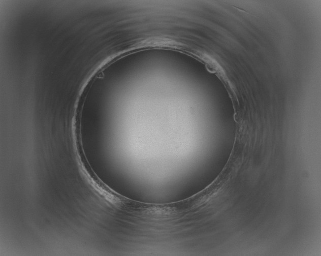 X0000073900947200608251454