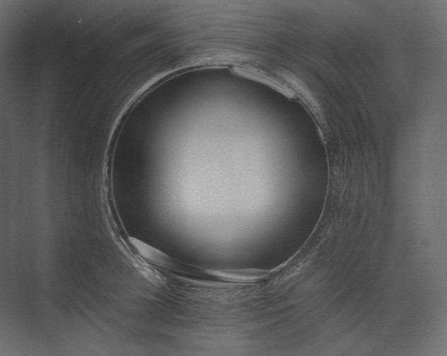 X0000073900948200608251454