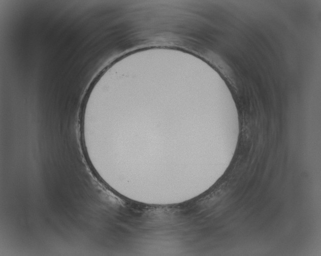 X0000073900950200608251454