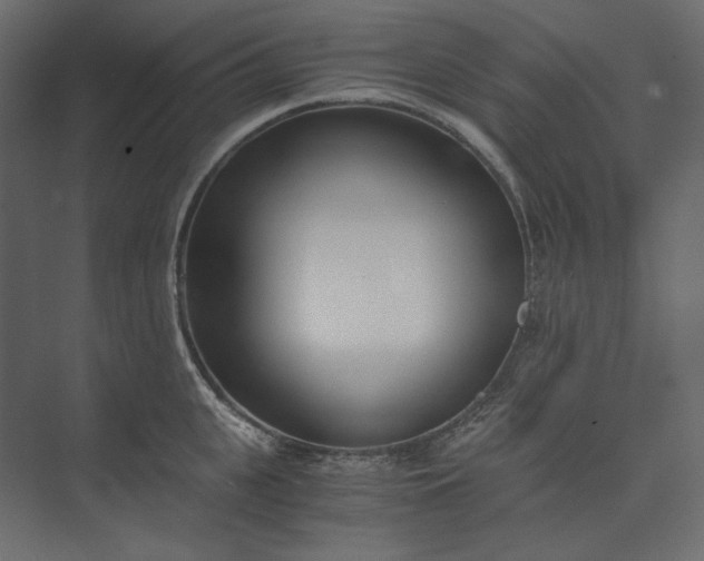 X0000073900951200608251454