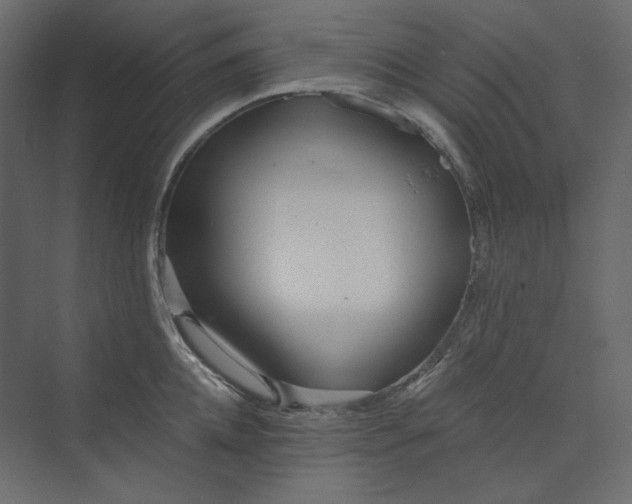 X0000073900952200608251454