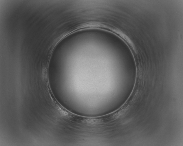 X0000073900953200608251454