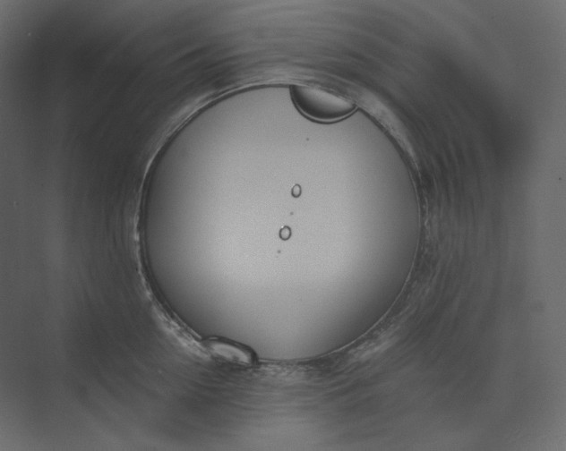 X0000073900954200608251454