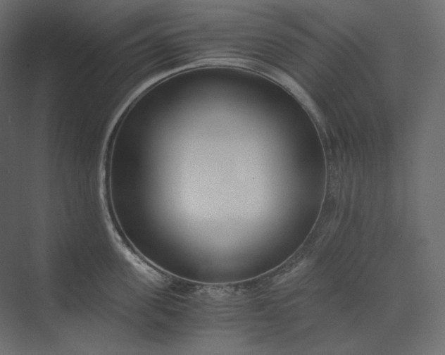 X0000073900955200608251454