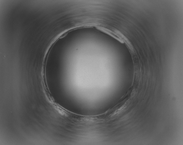 X0000073900956200608251454