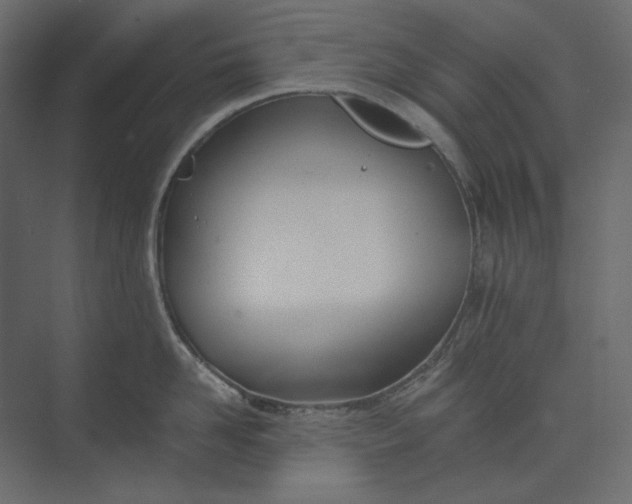 X0000073900958200608251454