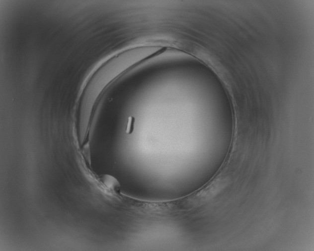 X0000073900960200608251454