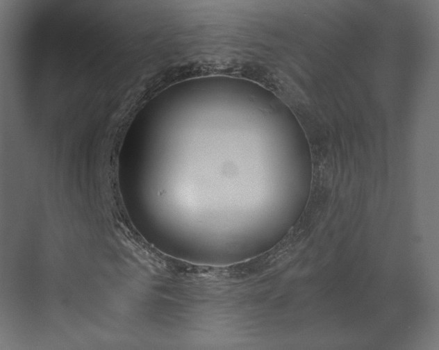 X0000073900961200608251453