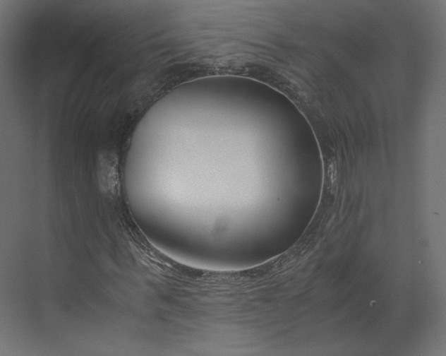 X0000073900963200608251453