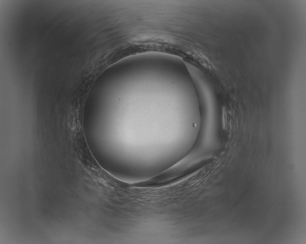 X0000073900965200608251453