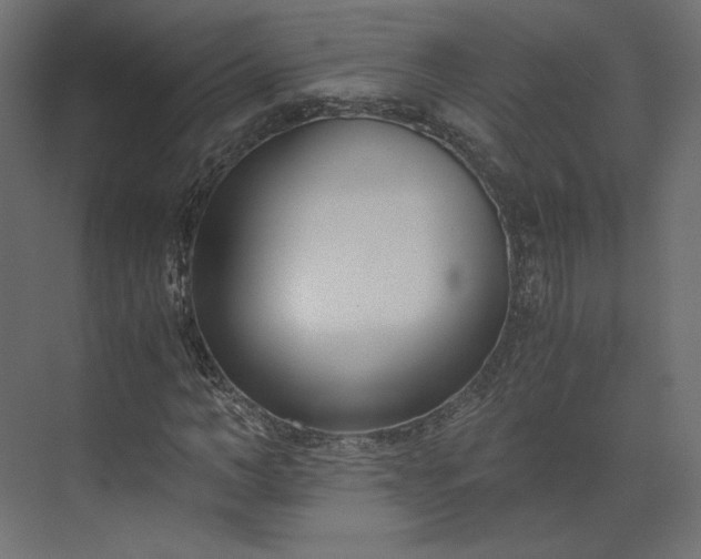 X0000073900966200608251453