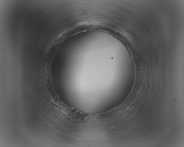 X0000073900967200608251453