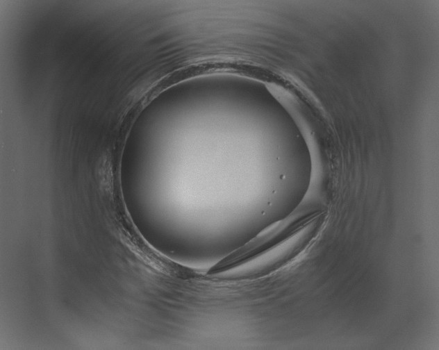 X0000073900969200608251453