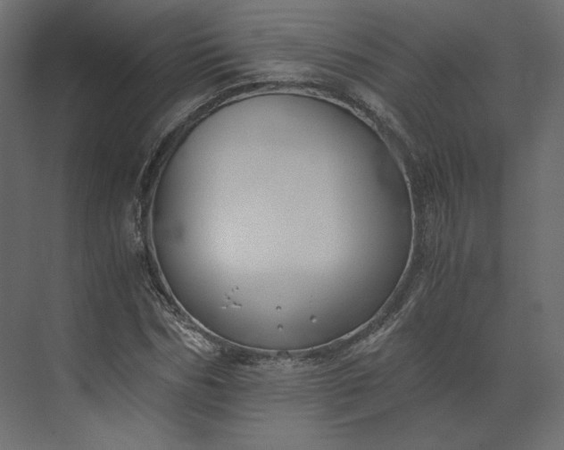 X0000073900970200608251453