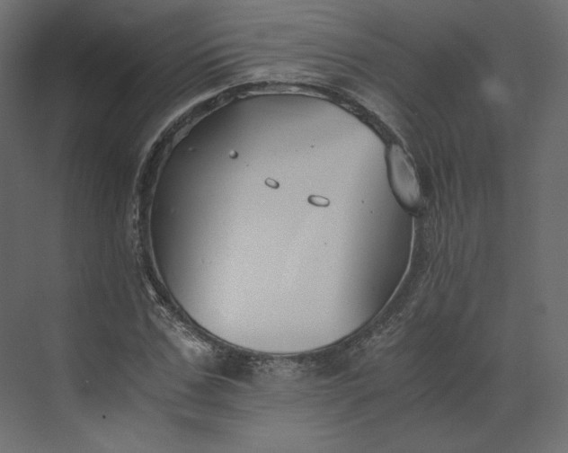 X0000073900971200608251453