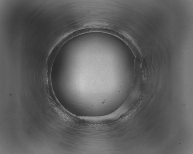 X0000073900973200608251453