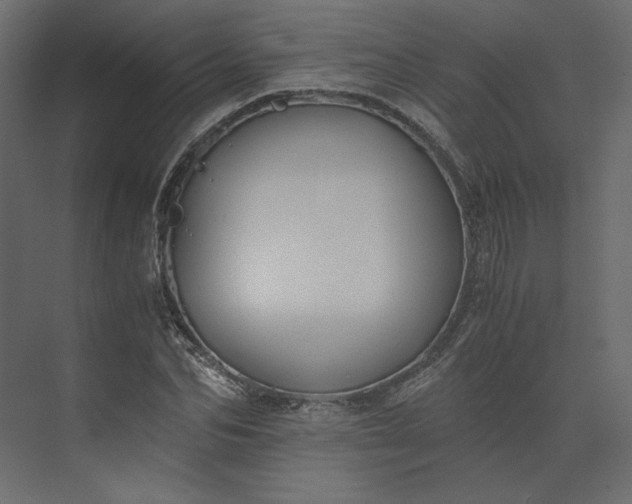 X0000073900974200608251453