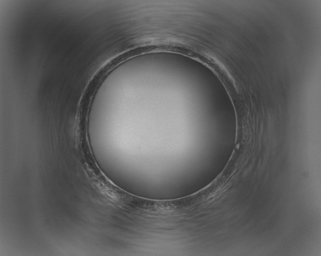 X0000073900975200608251453