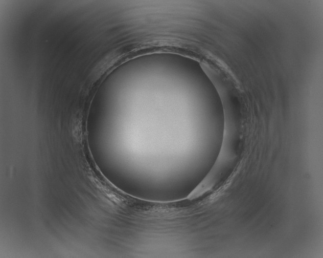 X0000073900977200608251453