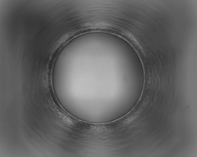 X0000073900978200608251453