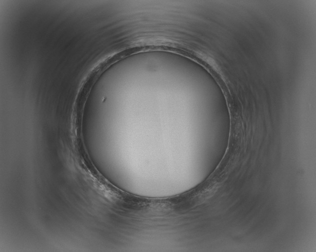 X0000073900979200608251453