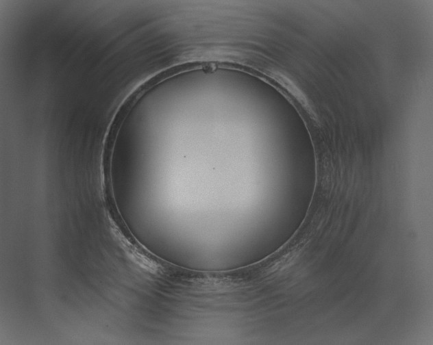 X0000073900980200608251453