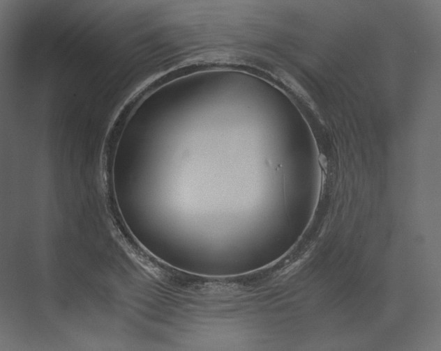 X0000073900981200608251453