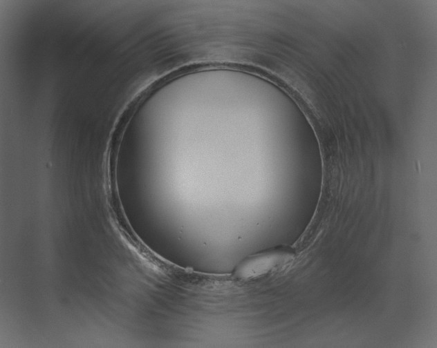 X0000073900982200608251453