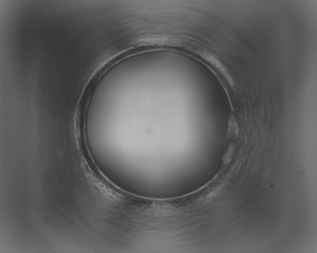 X0000073900983200608251453