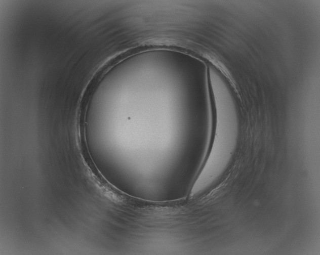 X0000073900984200608251453