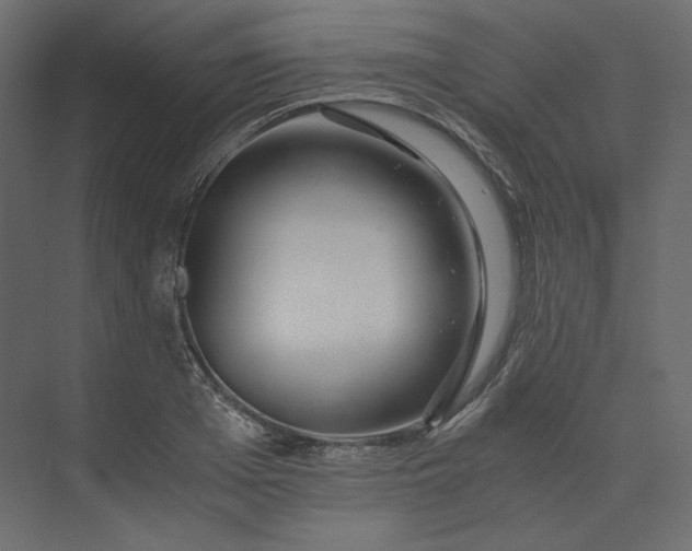 X0000073900985200608251453