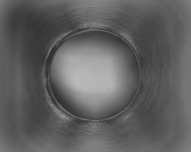 X0000073900987200608251453