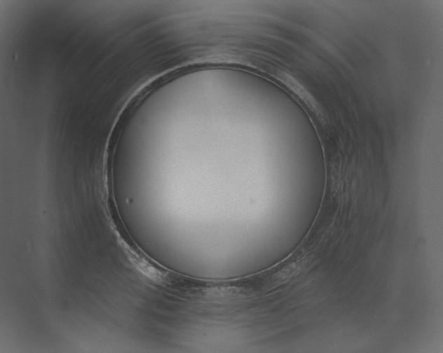 X0000073900988200608251453