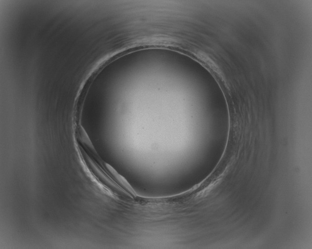 X0000073900989200608251453