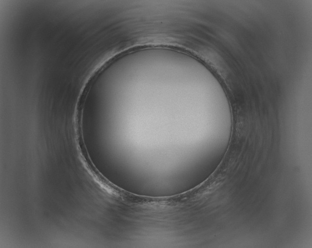 X0000073900990200608251453