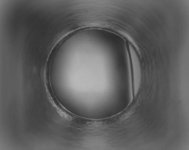 X0000073900991200608251452